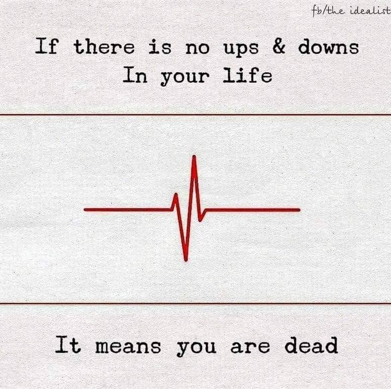No ups or downs life